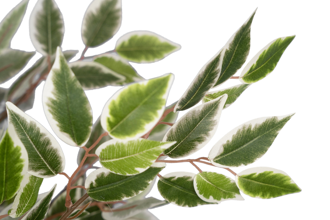 Copac artificial H180cm Ficus cu 3600 frunze mini verzi cu alb