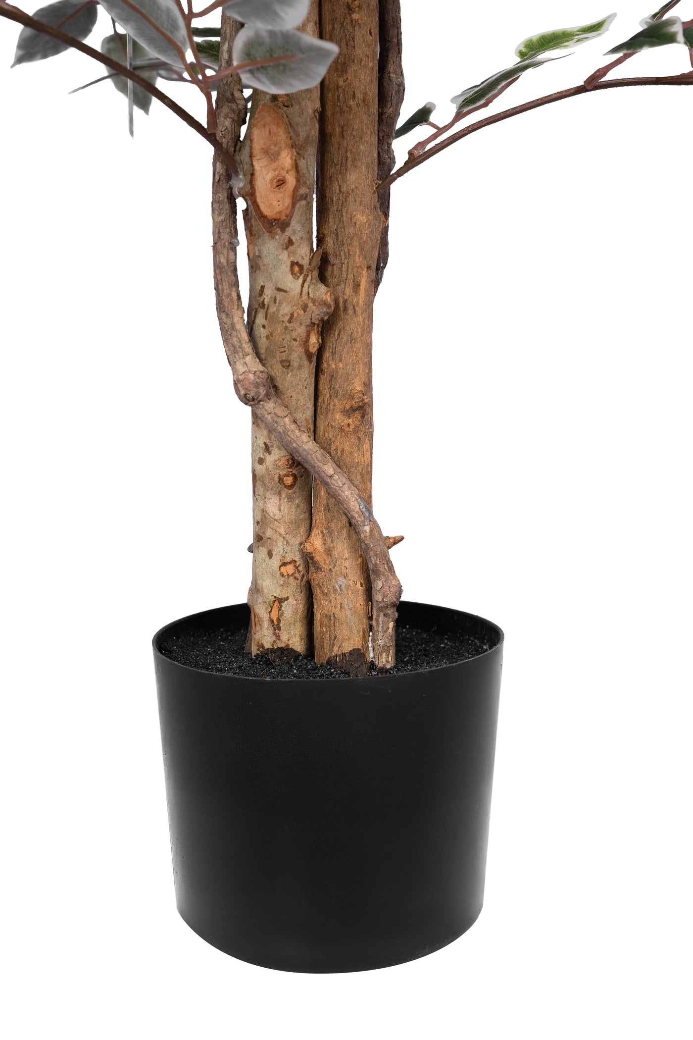 Copac artificial H180cm Ficus cu 3600 frunze mini verzi cu alb