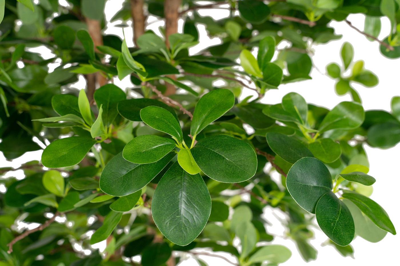 Copac artificial H180cm Ficus orient cu 3780 frunze