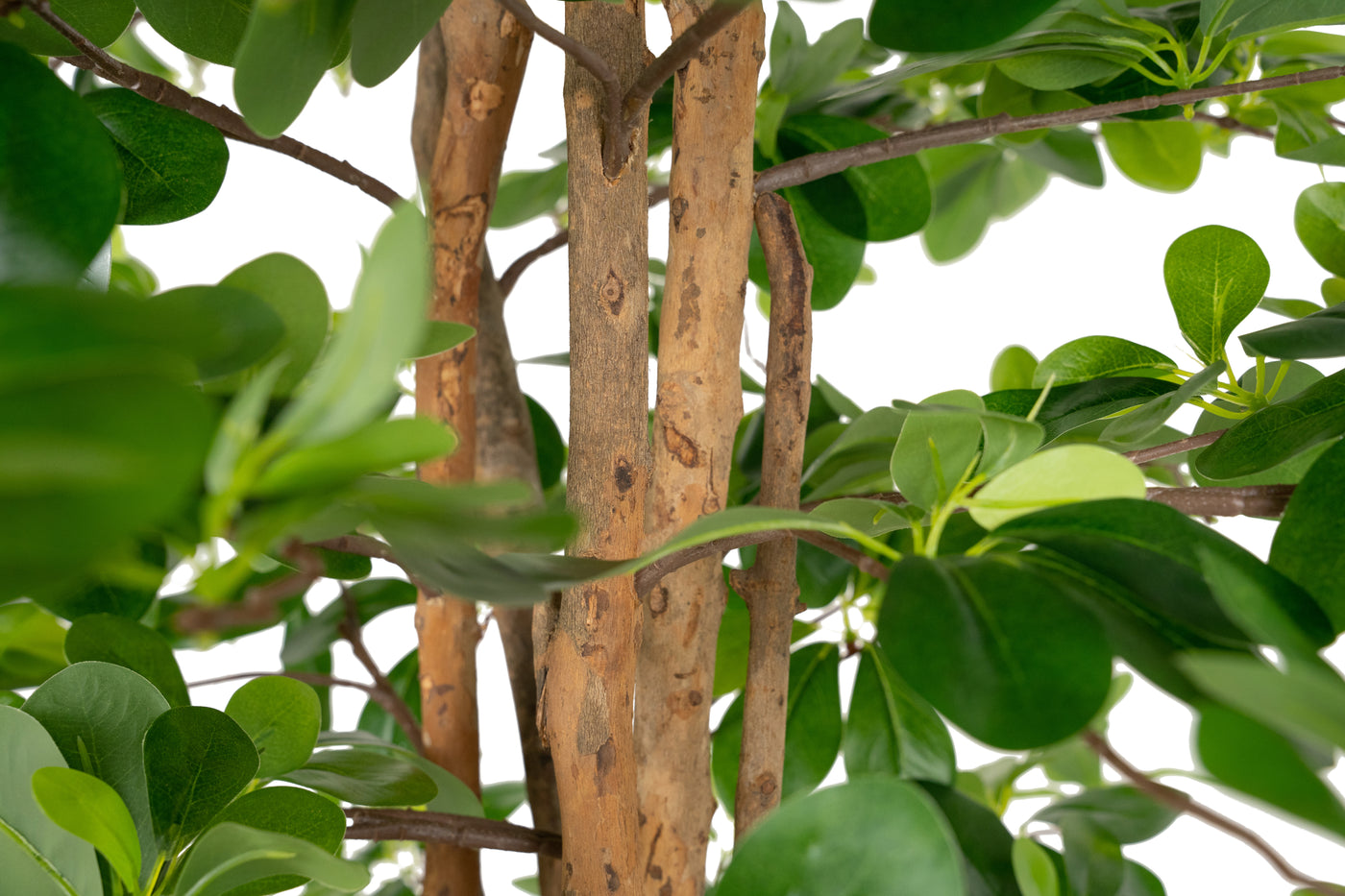 Copac artificial H180cm Ficus orient cu 3780 frunze