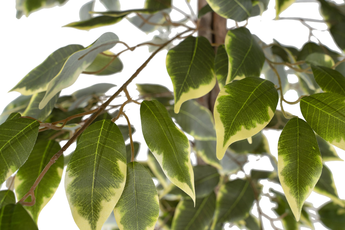 Copac artificial H180cm Ficus variegat cu 3 trunchiuri si 966 frunze verde cu alb