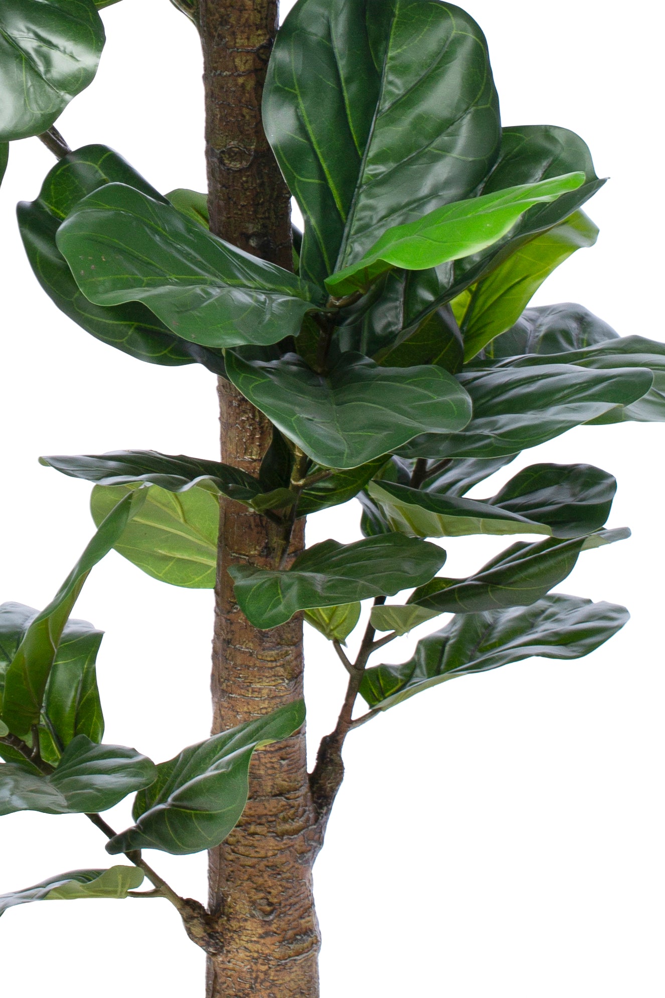 Copac artificial H190cm Ficus lyrata
