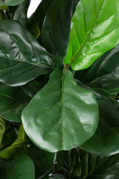 Copac artificial H190cm Ficus lyrata