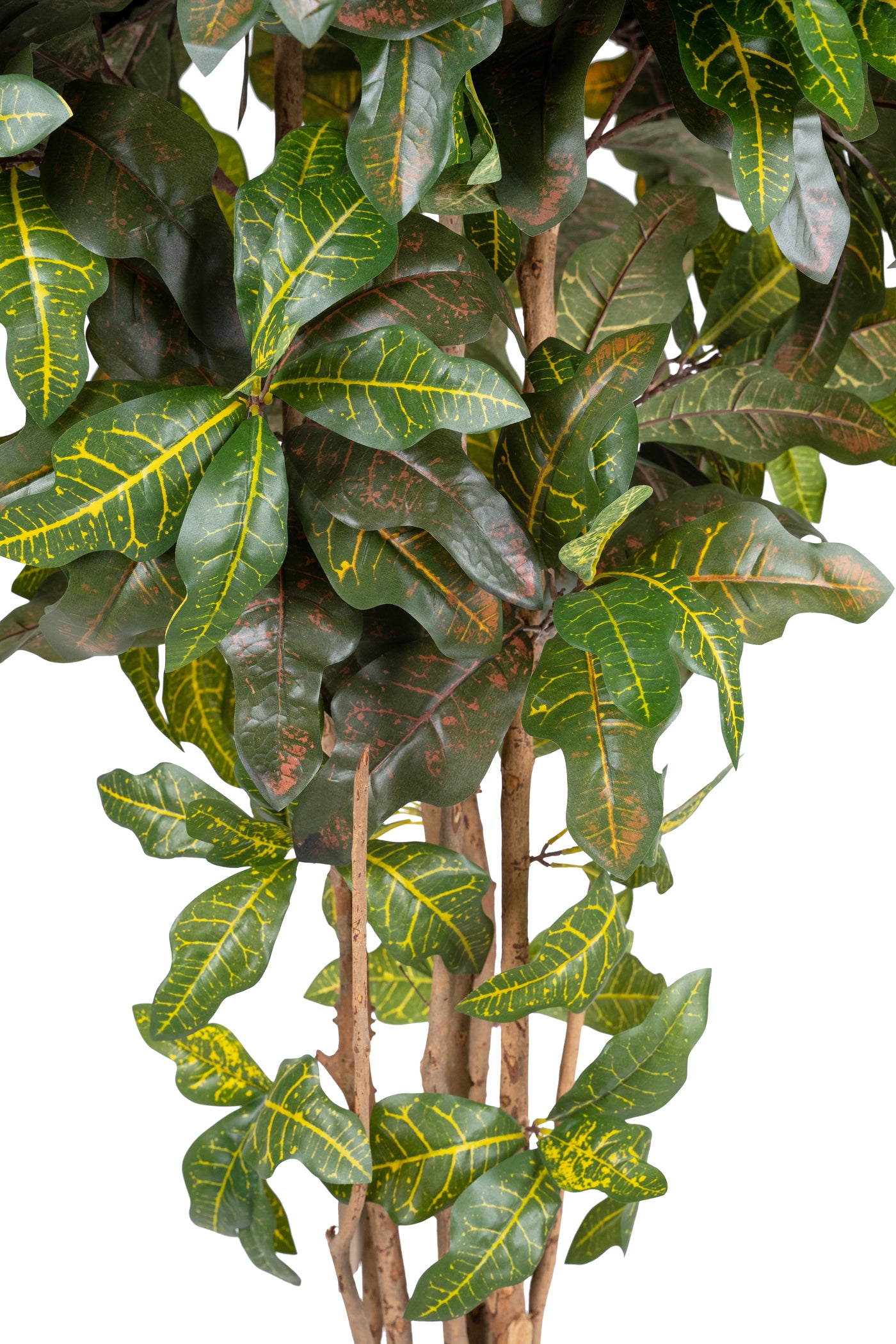 Copac artificial H210cm Croton petra cu 660 frunze