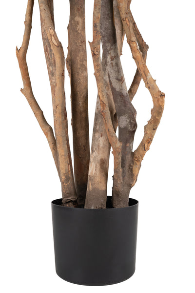 Copac artificial H210cm Ficus cu trunchiuri multiple. coroana D120cm