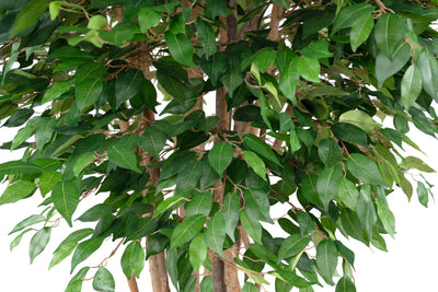 Copac artificial H210cm Ficus cu trunchiuri multiple. coroana D120cm