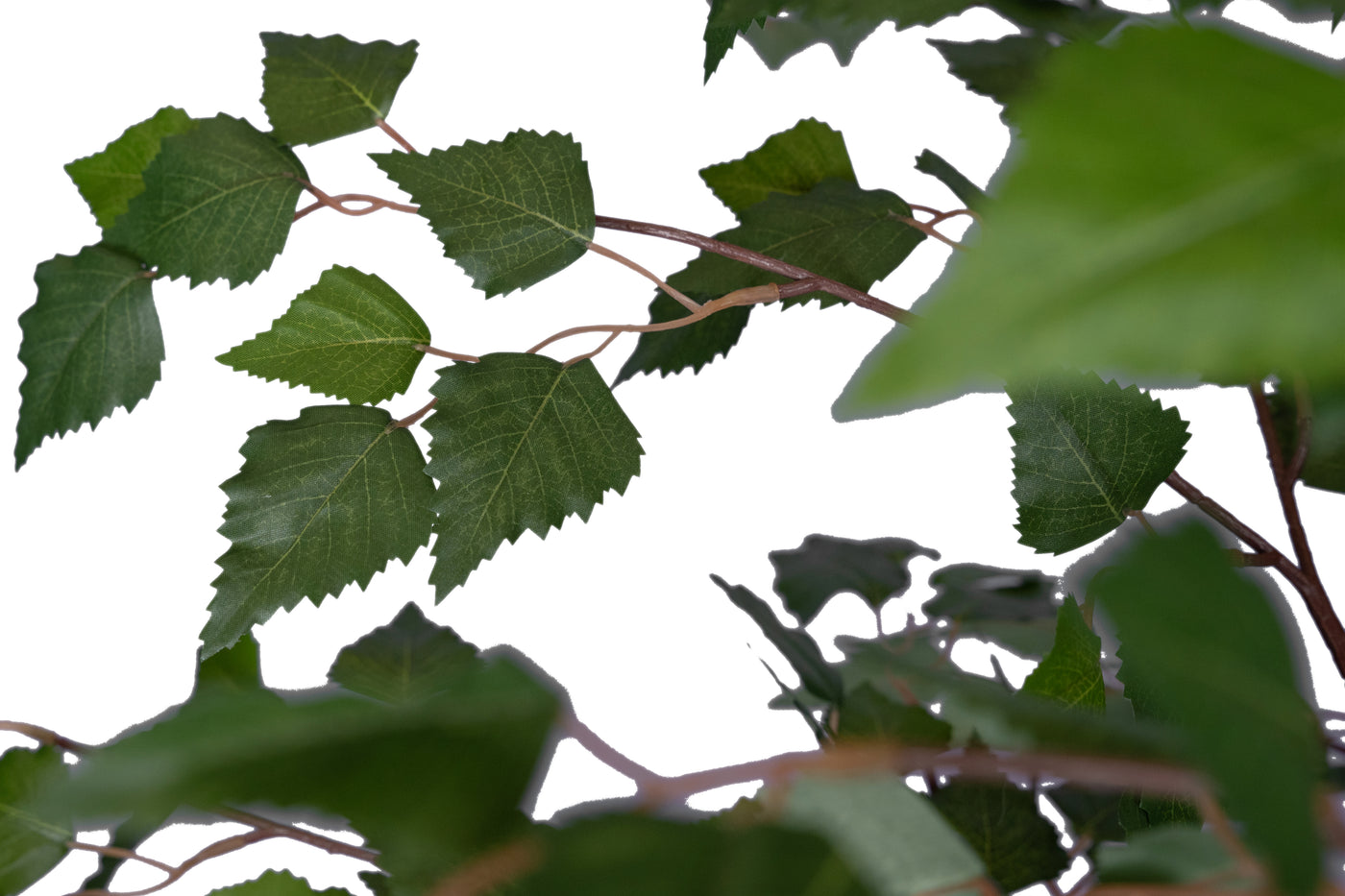 Copac artificial H210cm Mesteacan alb cu 1690 frunze