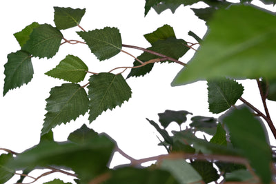 Copac artificial H210cm Mesteacan alb cu 1690 frunze