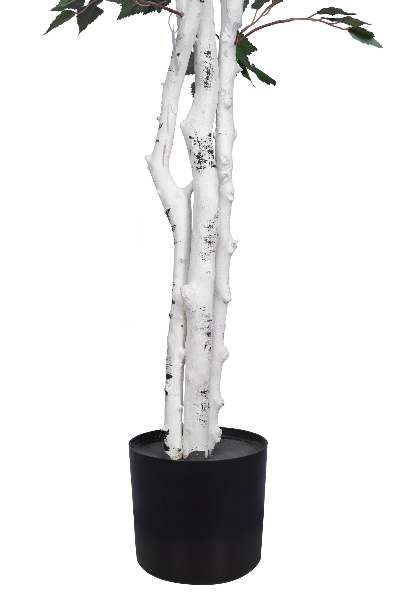 Copac artificial H240cm Mesteacan alb cu 2020 frunze