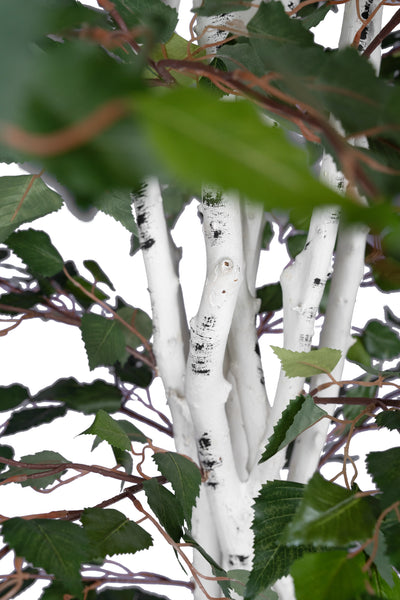 Copac artificial H240cm Mesteacan alb cu 2020 frunze