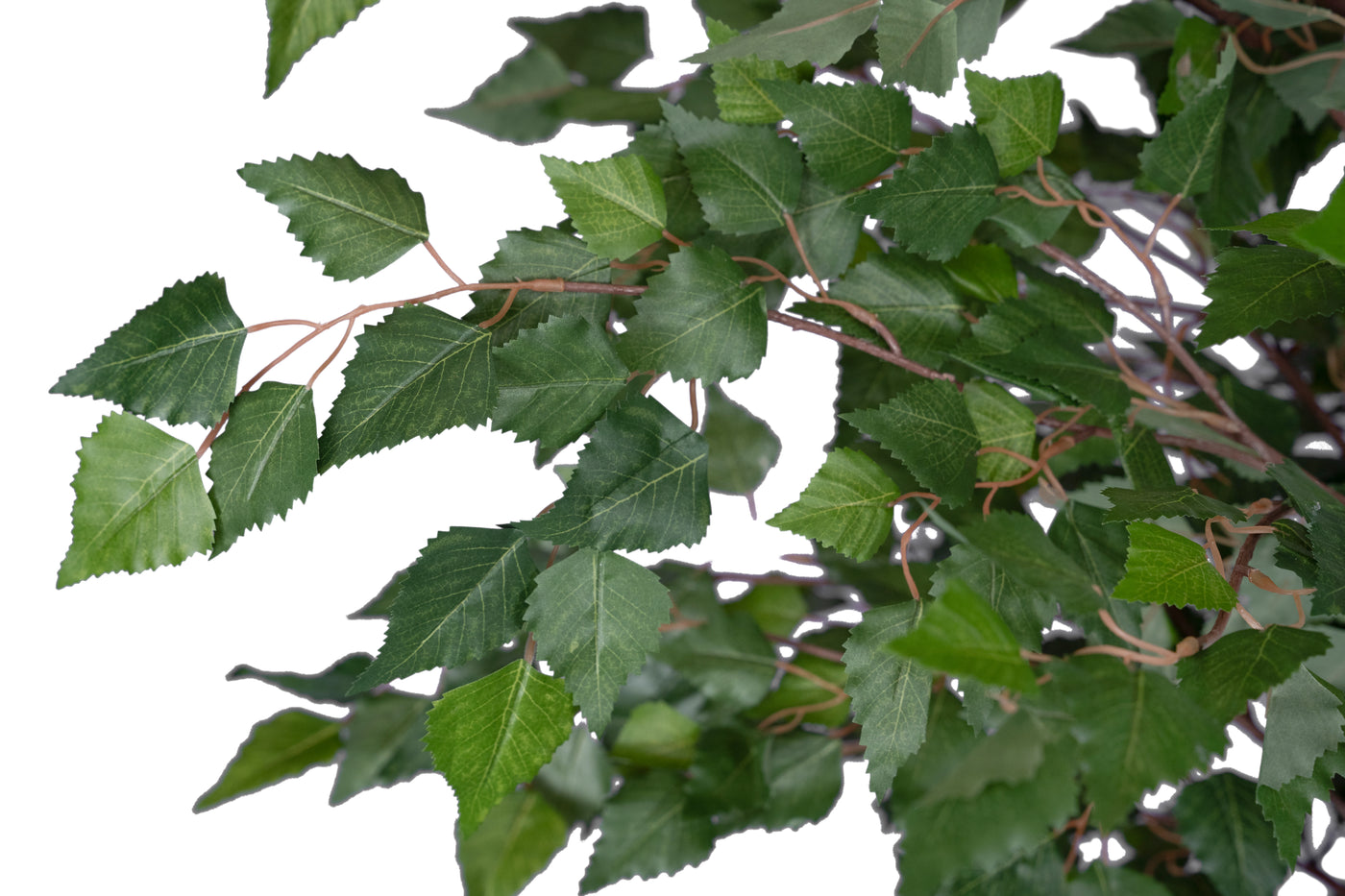 Copac artificial H240cm Mesteacan alb cu 2020 frunze