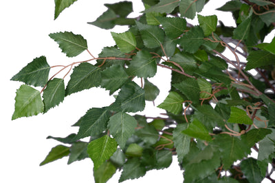 Copac artificial H240cm Mesteacan alb cu 2020 frunze