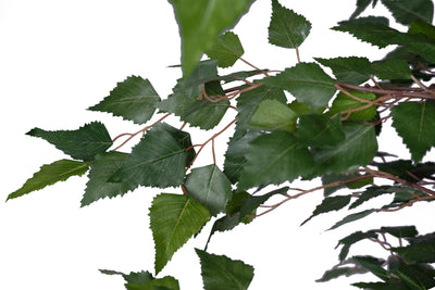 Copac artificial H240cm Mesteacan alb cu 2020 frunze