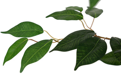 Copac artificial H270cm Ficus benjamina cu trunchiuri din lemn impletite cu 3100 frunze