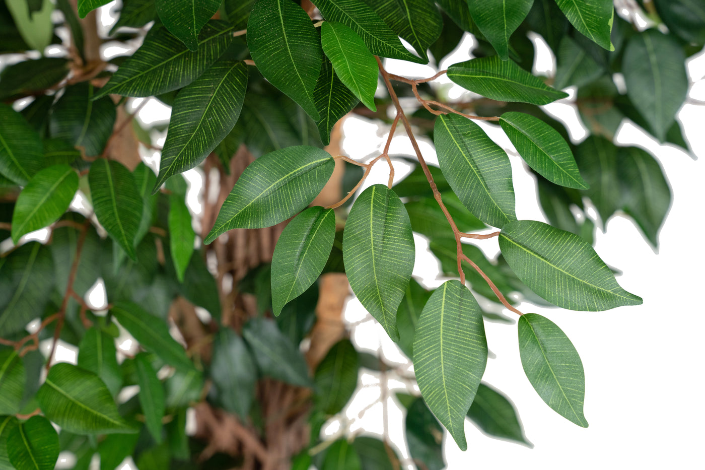 Copac artificial H270cm Ficus benjamina cu trunchiuri din lemn impletite cu 3108 frunze