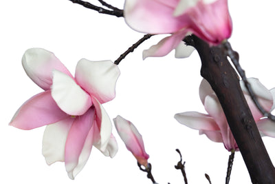 Copac artificial H270cm Magnolie cu flori albe. coroana D170cm