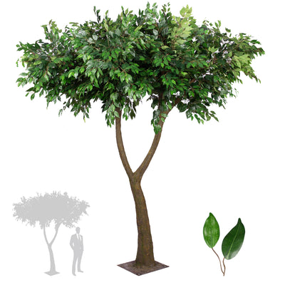 Copac artificial H280cm Ficus gigant cu 2 ramificatii. coroana D230cm