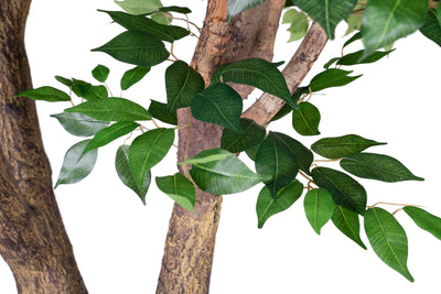 Copac artificial H290cm Ficus gigant cu 3 ramificatii. coroana D280cm