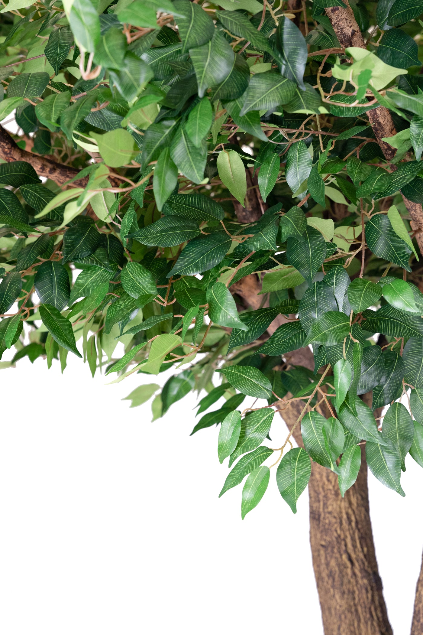 Copac artificial H290cm Ficus gigant cu 3 ramificatii. coroana D280cm