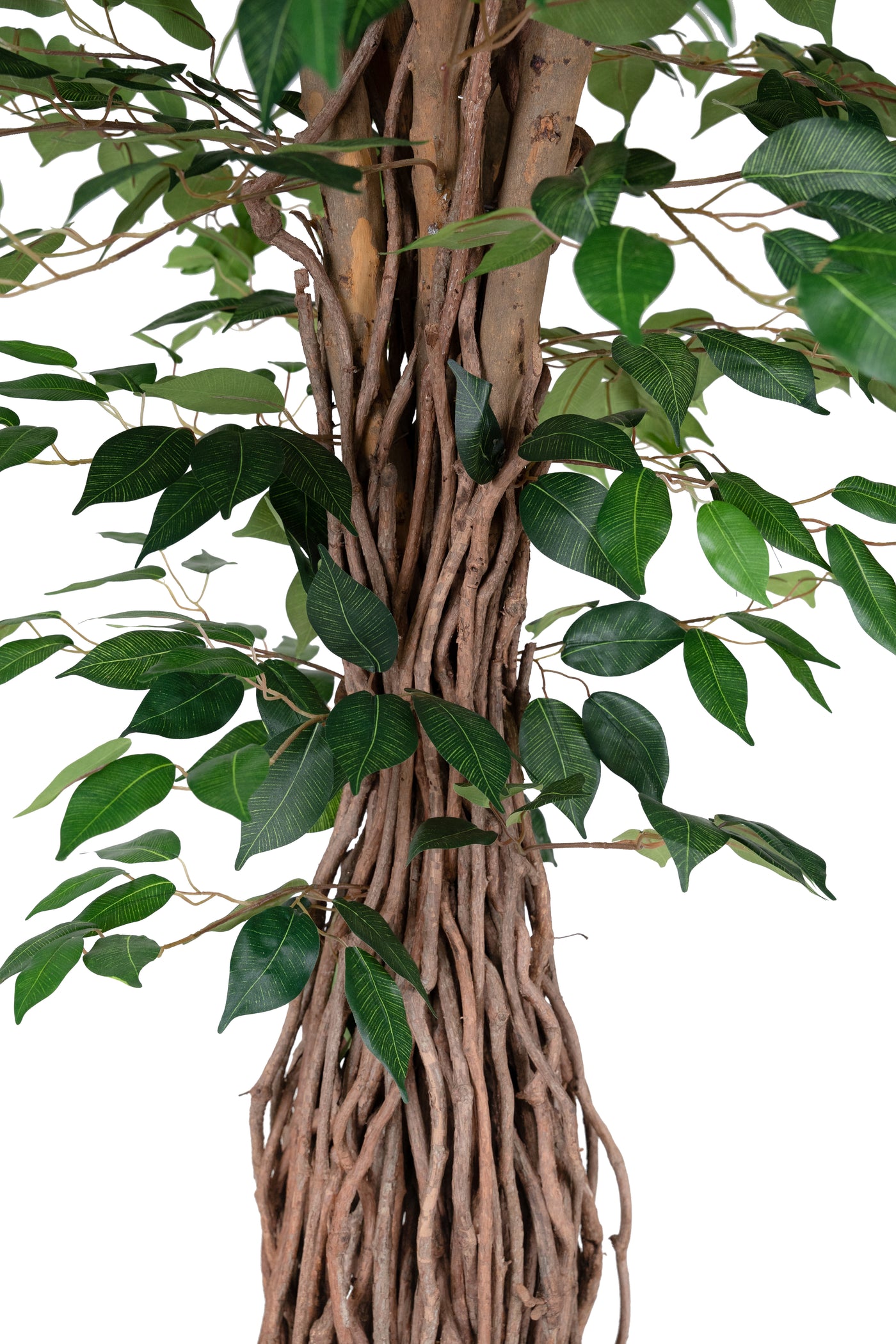 Copac artificial H300cm Ficus benjamina cu trunchiuri din lemn impletite cu 3680 frunze