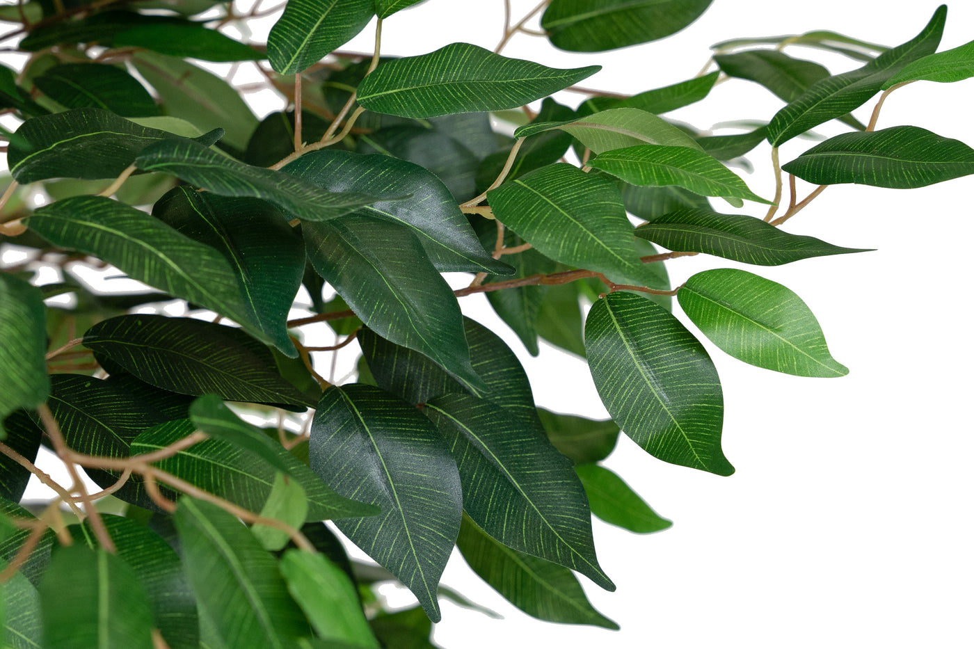 Copac artificial H300cm Ficus benjamina cu trunchiuri din lemn impletite cu 3764 frunze