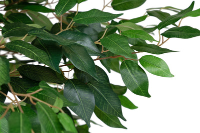Copac artificial H300cm Ficus benjamina cu trunchiuri din lemn impletite cu 3764 frunze