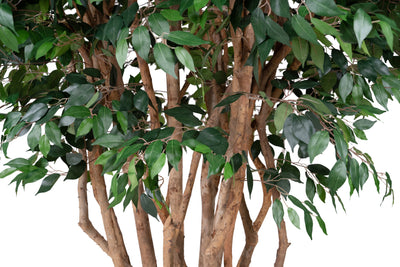 Copac artificial H300cm Ficus cu trunchiuri multiple. coroana D180cm