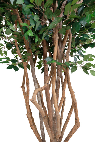 Copac artificial H320cm Ficus cu trunchiuri multiple. coroana D200cm