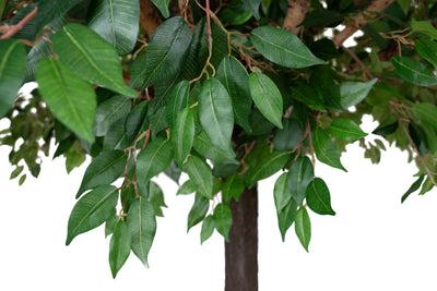 Copac artificial H320cm Ficus gigant. coroana D240cm