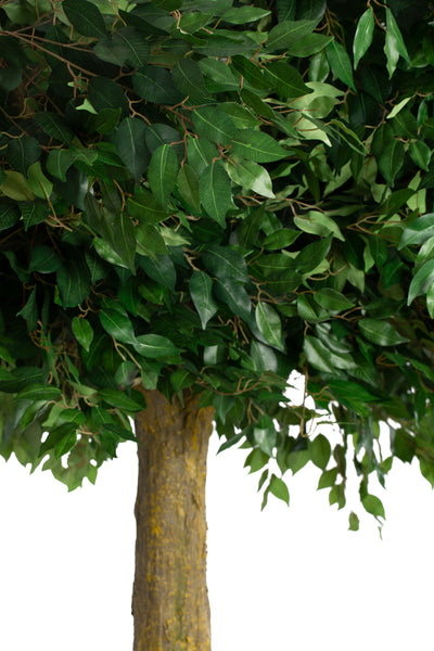 Copac artificial H320cm Ficus Gigant. coroana D320cm