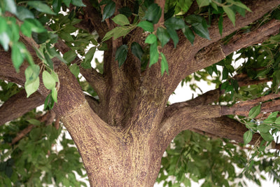 Copac artificial H360cm Ficus gigant. coroana D360cm