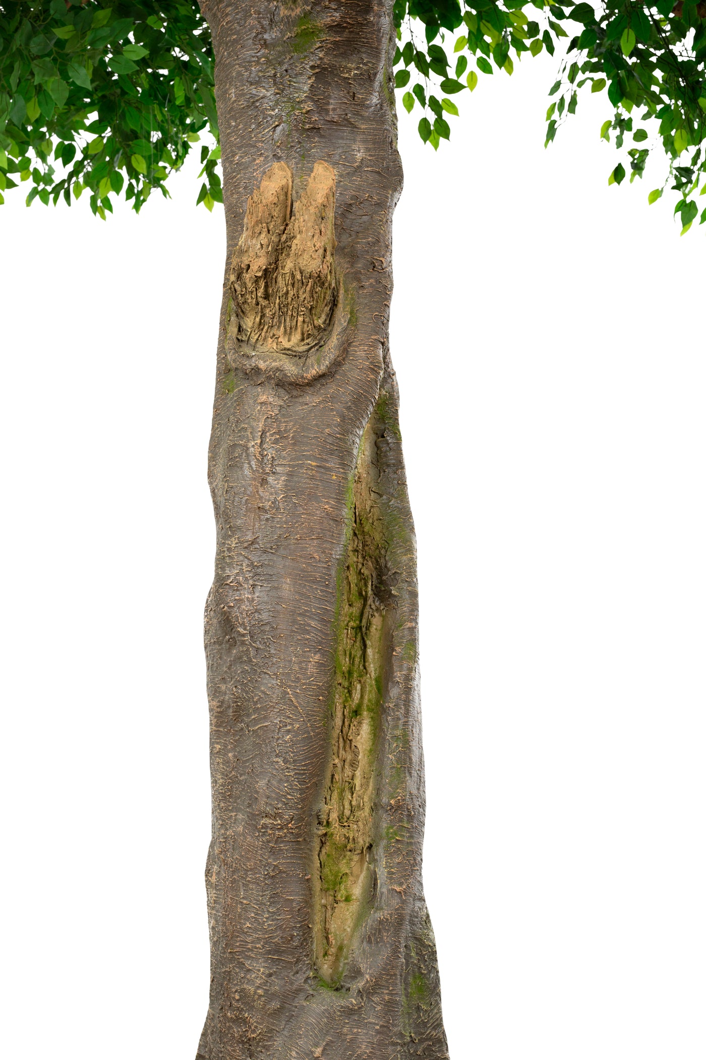 Copac artificial H500cm Ficus gigant. coroana D390-420cm