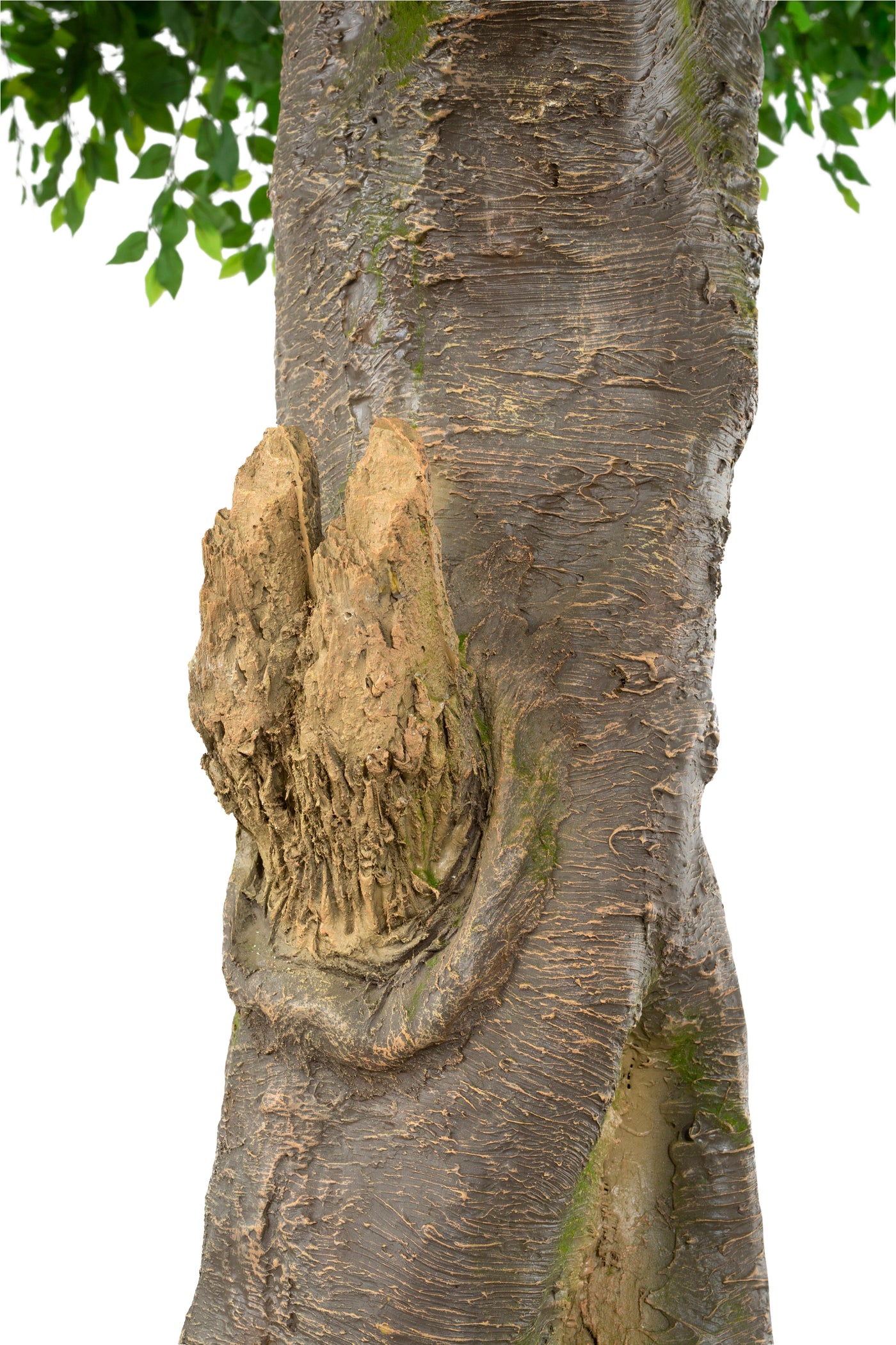 Copac artificial H500cm Ficus gigant. coroana D390-420cm