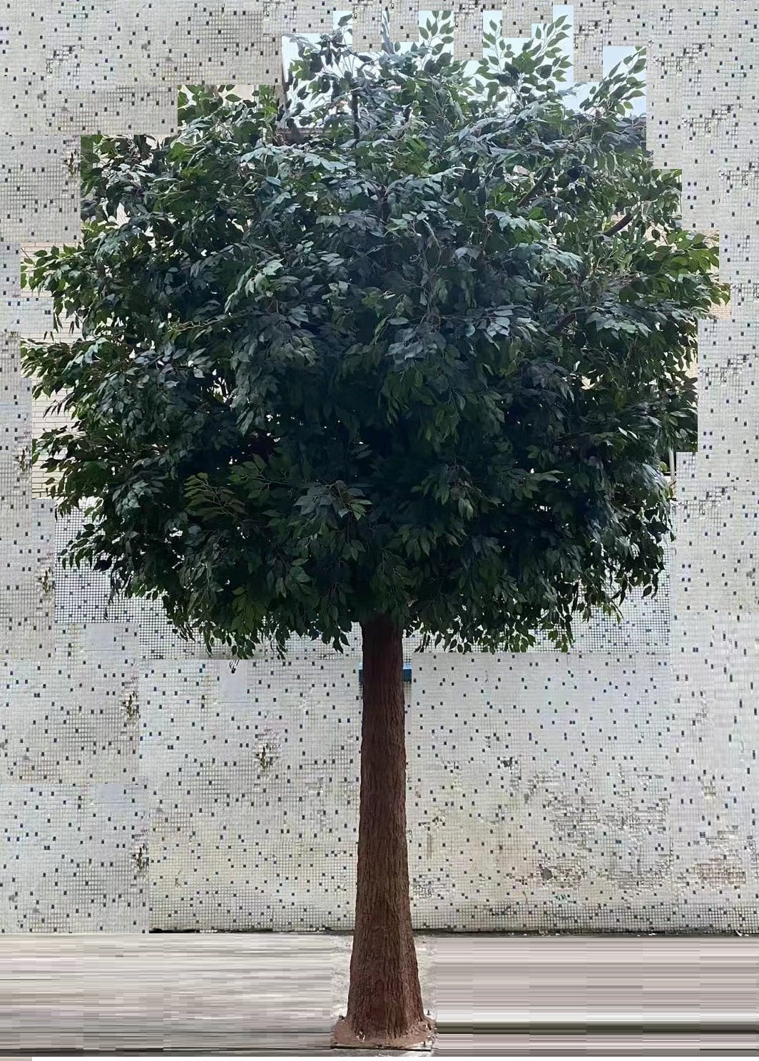 Copac artificial H500cm Ficus gigant cu 50400 frunze