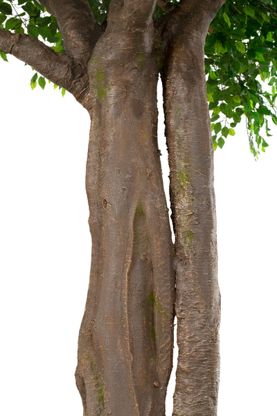 Copac artificial H510cm Ficus gigant. coroana D380-420cm