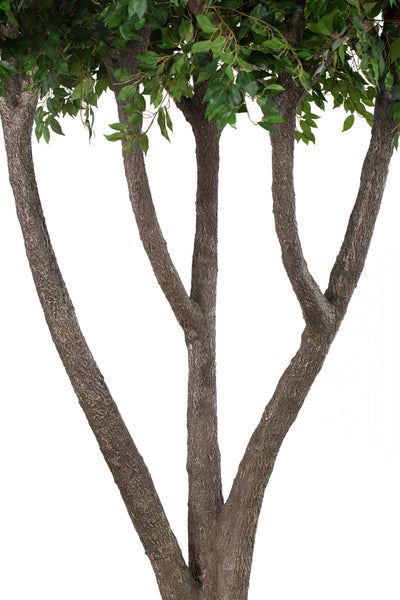 Copac artificial H550cm Ficus gigant. coroana D475cm