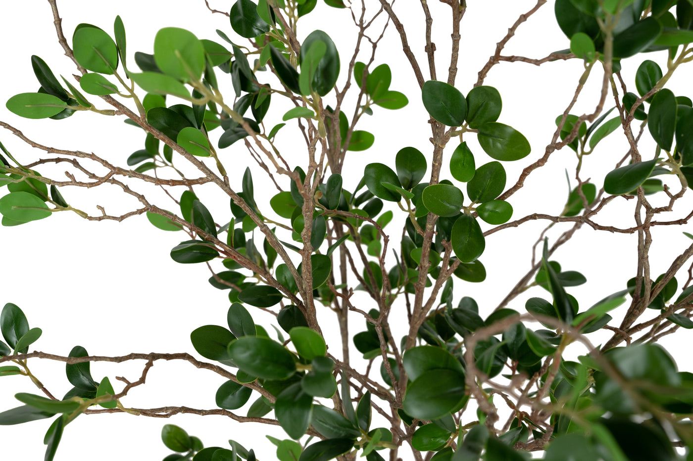 Copac artificial H60cm Ficus moclame cu 720 frunze