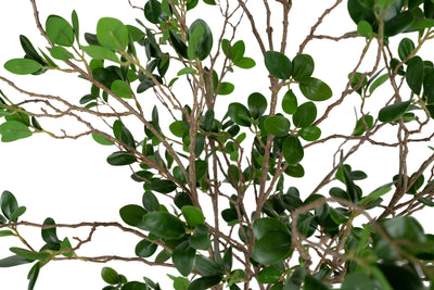 Copac artificial H60cm Ficus moclame cu 720 frunze