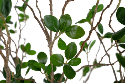 Copac artificial H60cm Ficus moclame cu 720 frunze