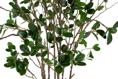 Copac artificial H60cm Ficus moclame cu 720 frunze