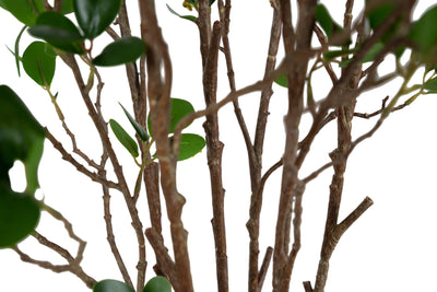 Copac artificial H60cm Ficus moclame cu 720 frunze