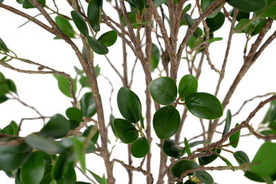 Copac artificial H60cm Ficus moclame cu 720 frunze