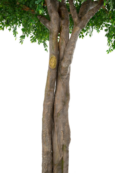 Copac artificial H610cm Ficus gigant. coroana D490-520cm