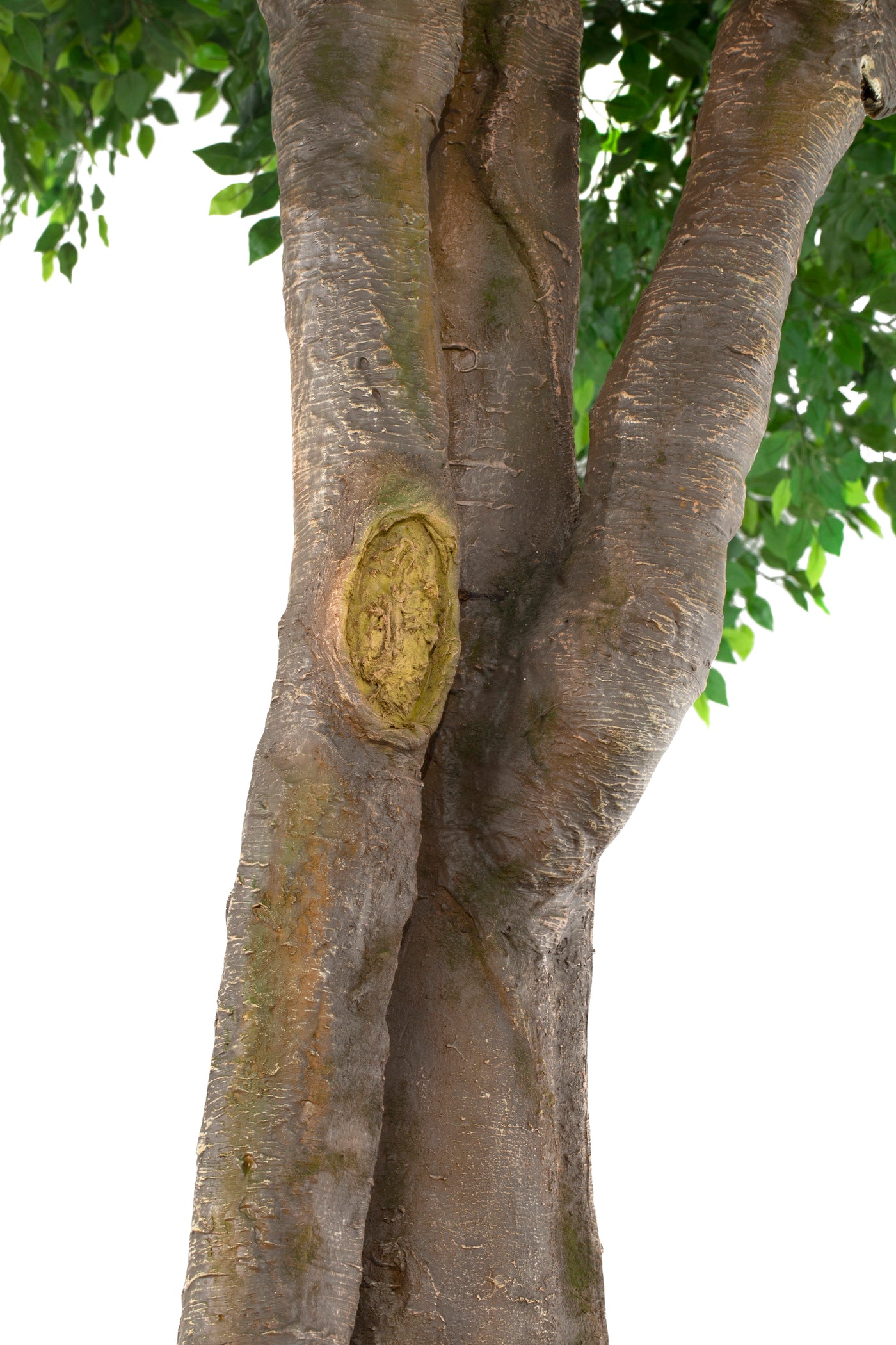 Copac artificial H610cm Ficus gigant. coroana D490-520cm