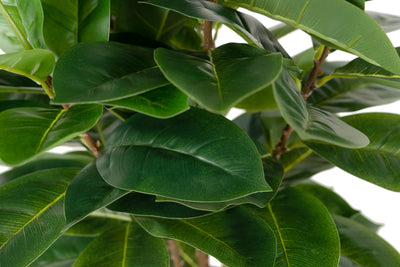 Copac artificial H65cm Ficus cyathistipula