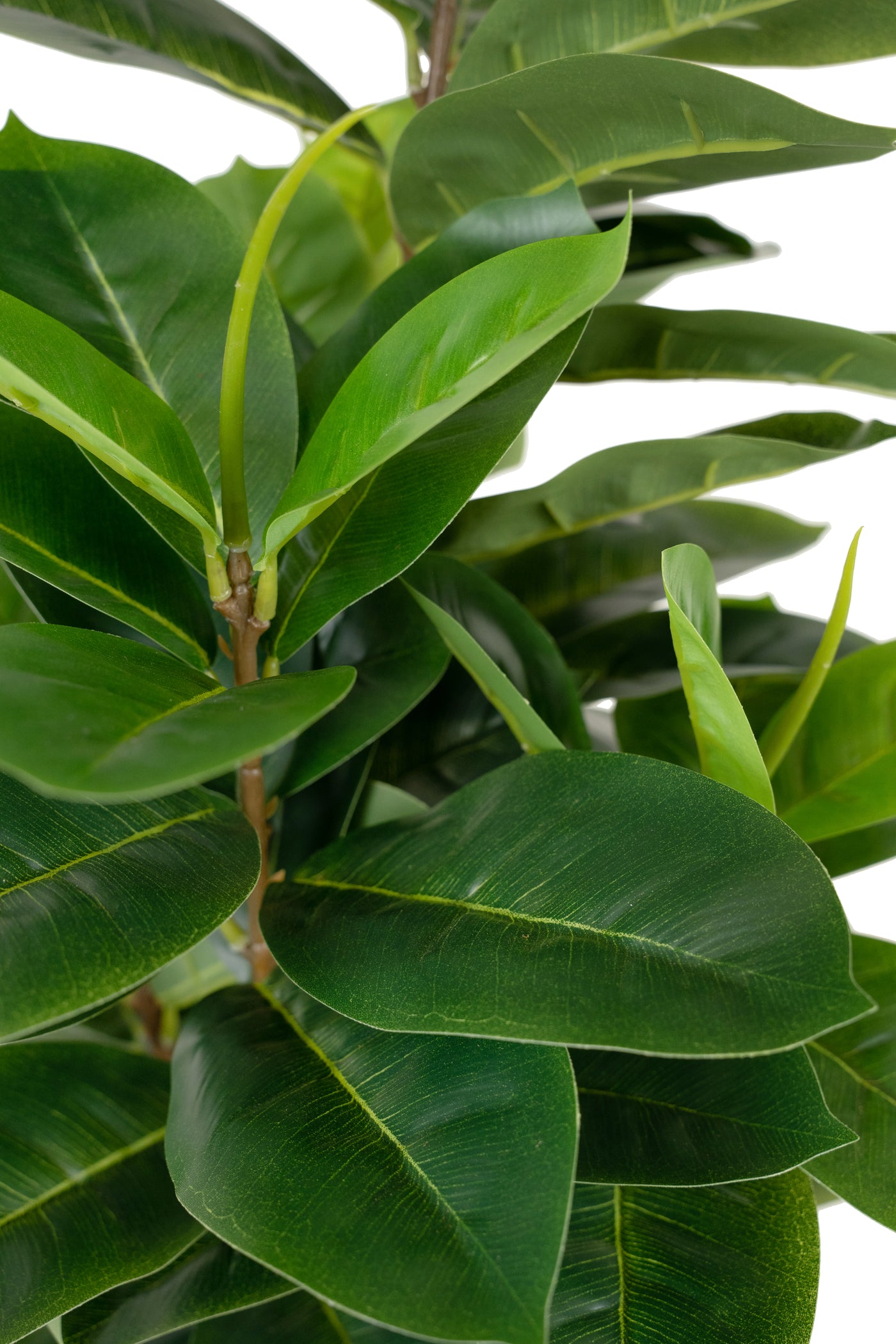 Copac artificial H65cm Ficus cyathistipula cu 63 frunze