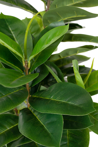 Copac artificial H65cm Ficus cyathistipula cu 63 frunze