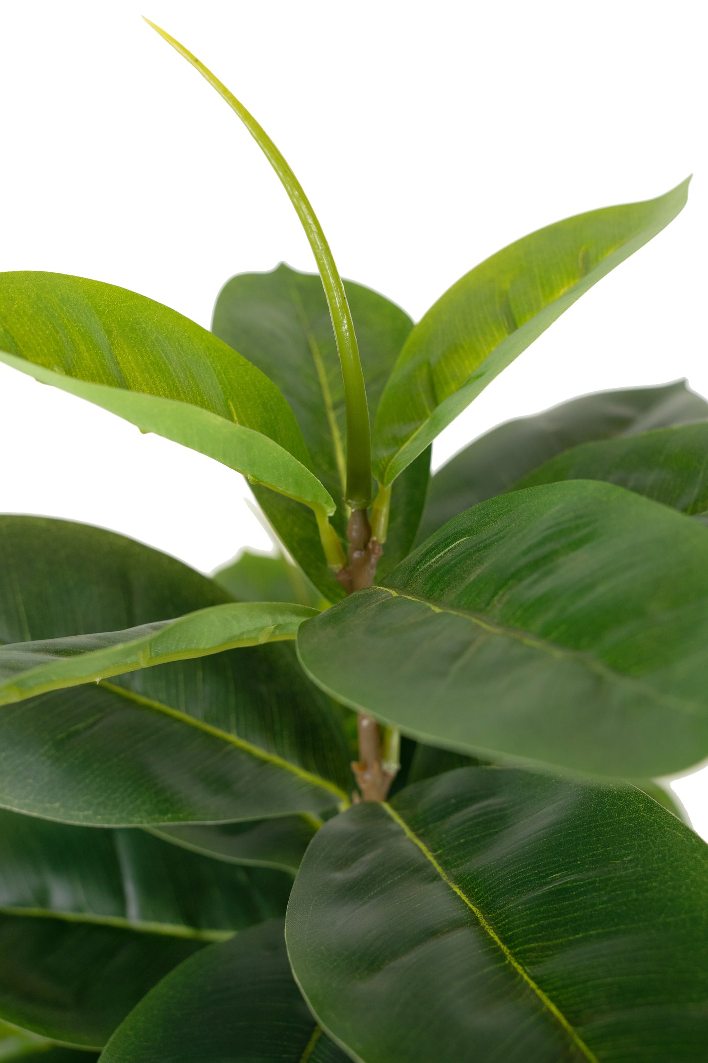 Copac artificial H65cm Ficus cyathistipula cu 63 frunze