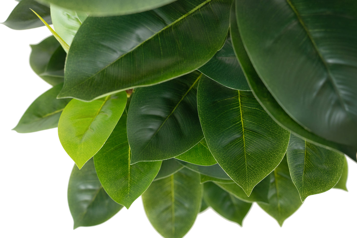 Copac artificial H65cm Ficus cyathistipula cu 63 frunze