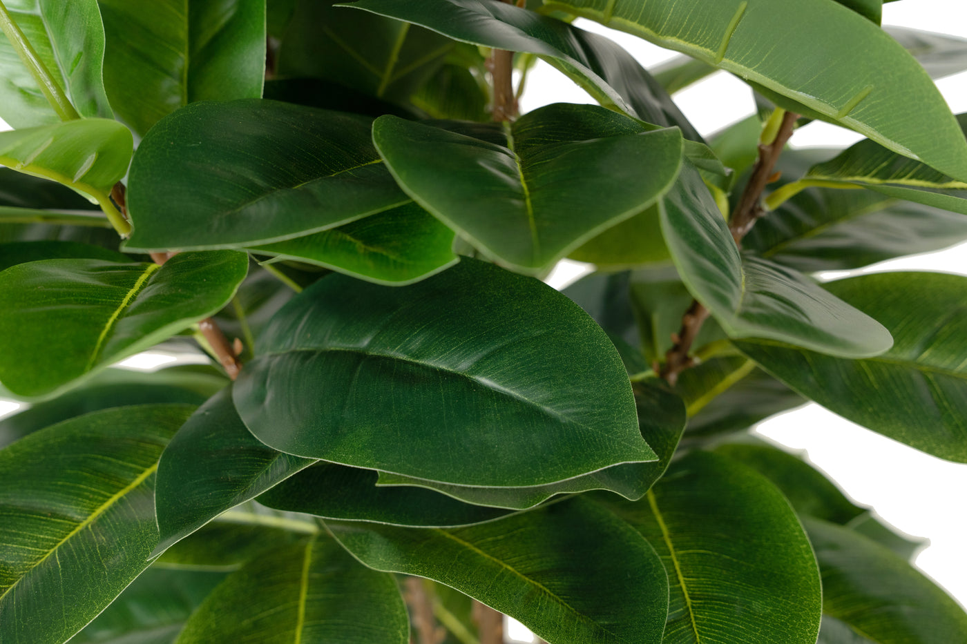 Copac artificial H65cm Ficus cyathistipula cu 63 frunze